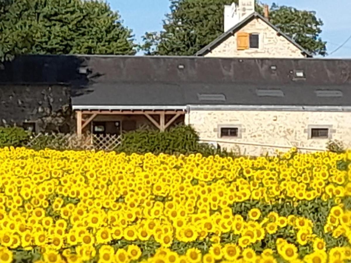 3 Self-Contained Gites With Pool And Games Room Saint-Georges-de-Noisné Eksteriør billede